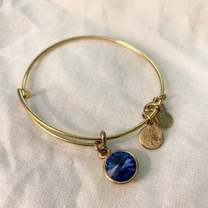 Alex and Ani Blue Gem Charm